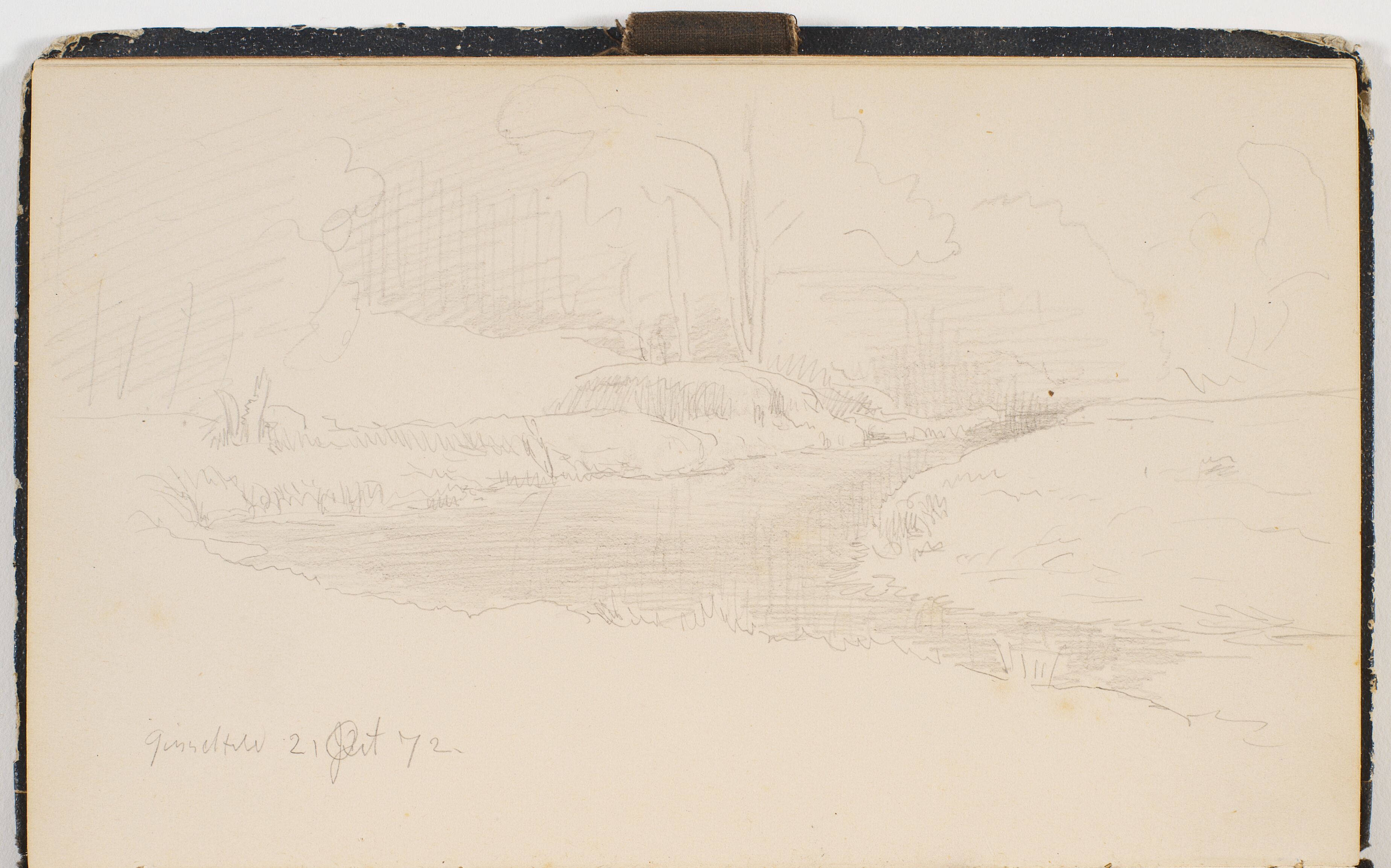 Skovinteriør omkring en å